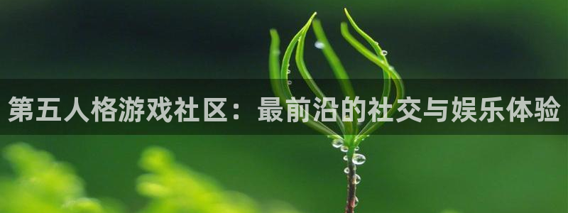 运达娱乐app下载地址