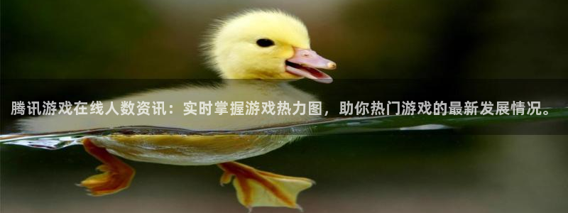 运达娱乐线路测试