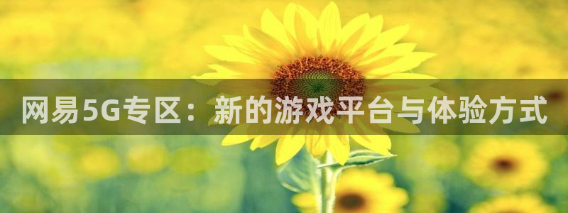 运达娱乐4招商